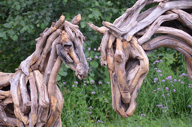 Chevaux