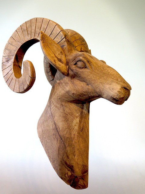 Bouc