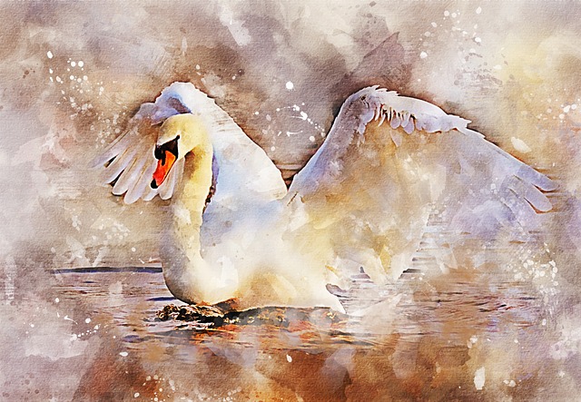 Cygne