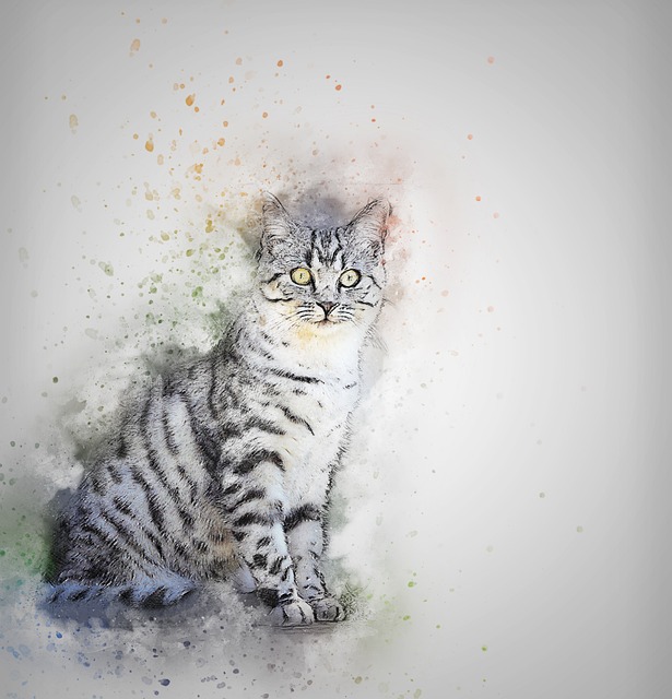 Miaou!
